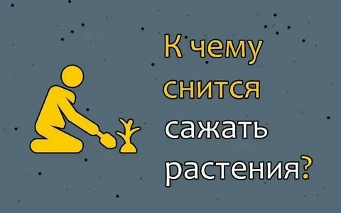 Посадила цветок во сне