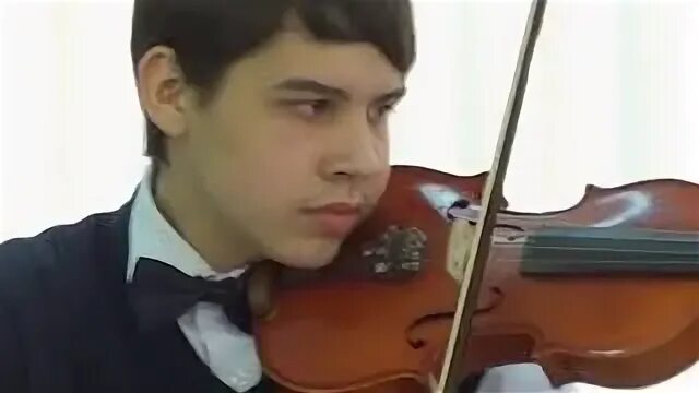 Шмель скрипка