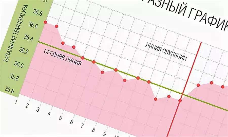 Базальная температура при задержке месячных. График БТ на ранних сроках беременности. График БТ при беременности до задержки. График базальной при беременности до задержки. График базальной температуры при беременности до задержки.