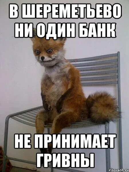 А когда их нет