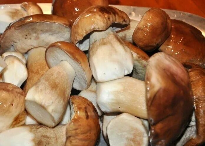 Белый гриб нужно варить. Вареные белые грибы. Белый гриб как готовить. Как приготовить белый гриб. Белые грибы варят.