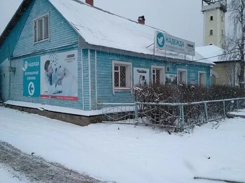 Надежда ул чернышевского 33а вологда фото Возрождение ветеринарная вологда найдено 77 картинок