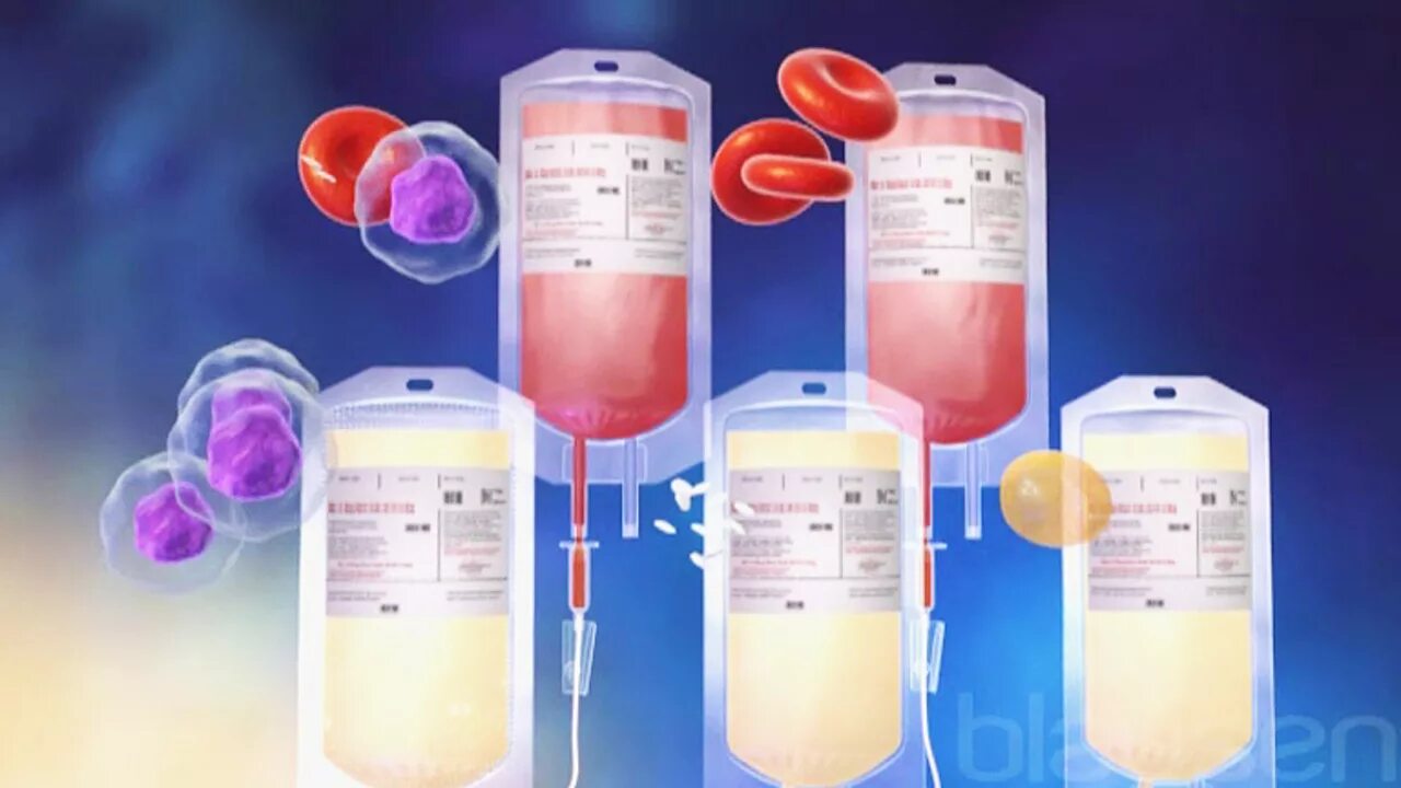 Препарат крови тест. Препарат крови тромбоцитарная масса. Переливание лейкоцитарной массы. Переливание компонентов донорской крови. Компоненты крови лейкоцитарная масса.