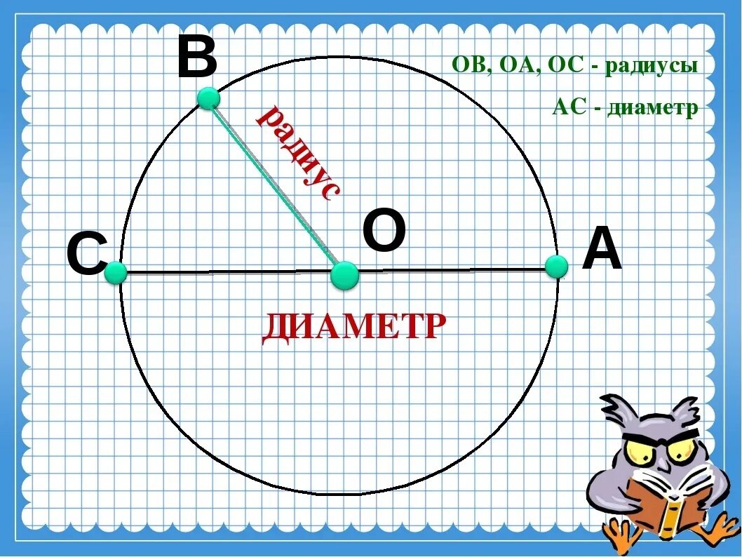 Тема окружность и круг 4 класс. Окружность начальная школа. Окружность круг радиус диаметр. Окружность круг 3 класс. Окружность 3 класс математика.