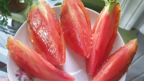 Томаты говядина с куста описание сорта