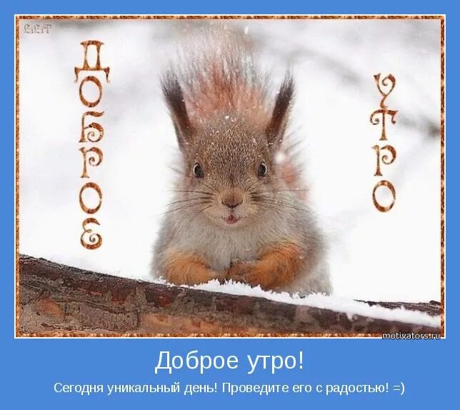 уникальный день