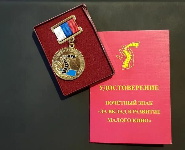 медали и ордена на пиджаке. расположение орденов и медалей на кителе мвд. нагрудным знаком "почетный донор россии". орден почетный нефтяник. нагрудный знак почетный донор.