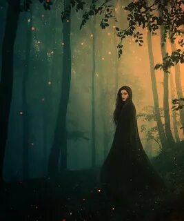 Лесу загадочная тишина