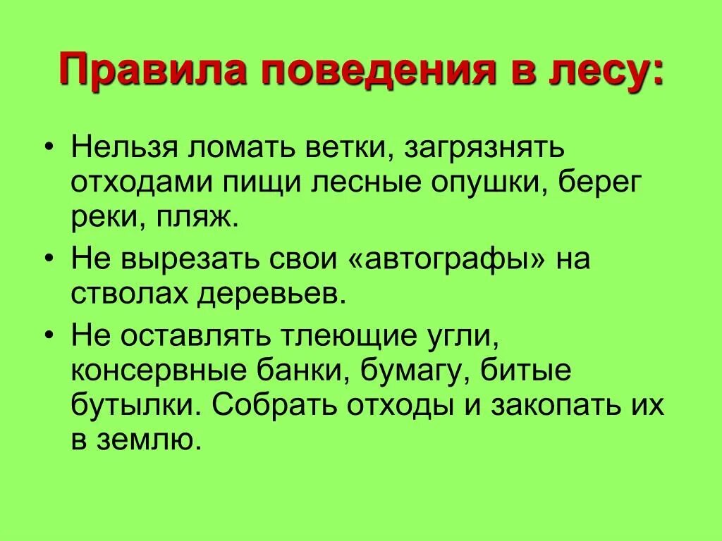 Правилаьповедения в лесу. Правила поведения в лесу. Правила поведения АВ лесу. Правилапоаедения в лесу..