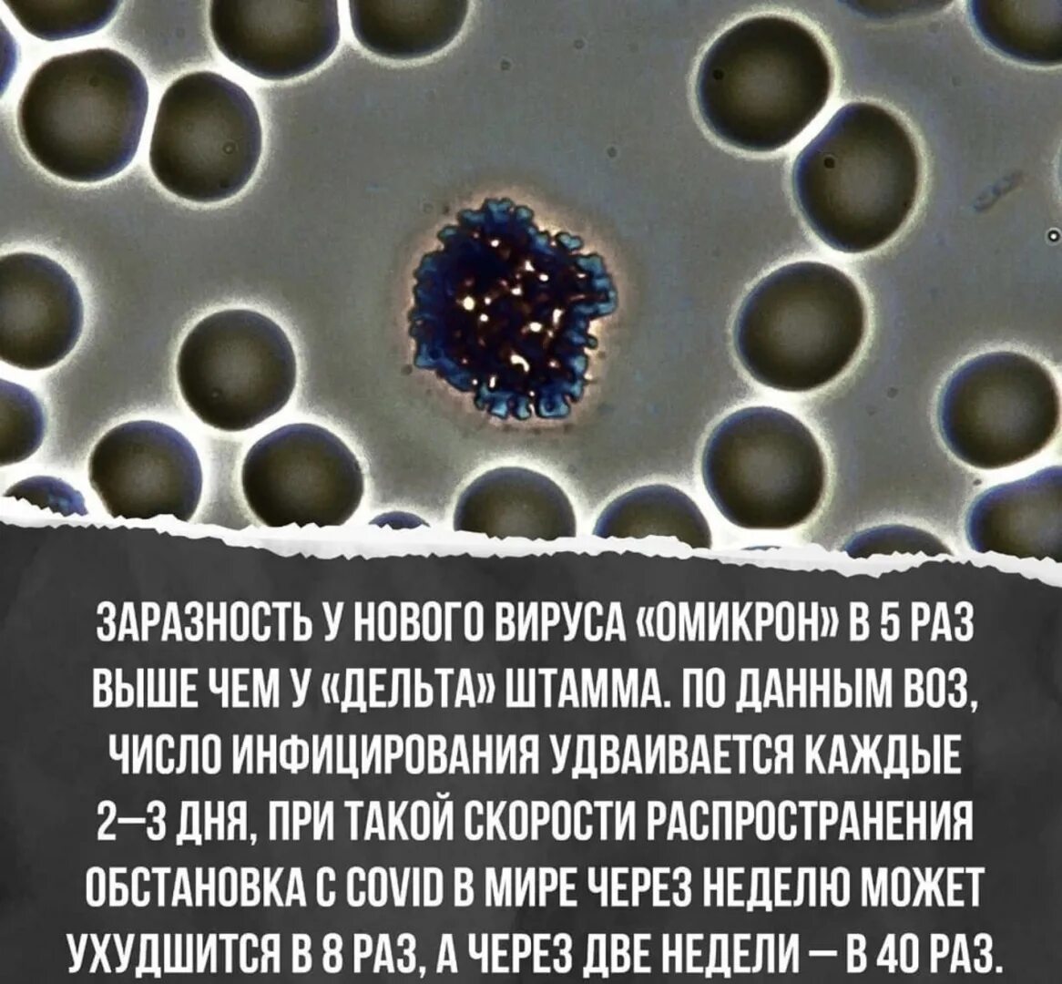 Коронавирус штаммы омикрон. Омикрон вирус. Омикрон коронавирус. Штамм вируса. Коронавирус Омикрон симптомы.