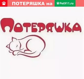 Потеряшки тюмень сайт
