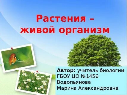 Тест растение живой организм