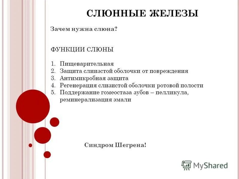 4 функции слюны