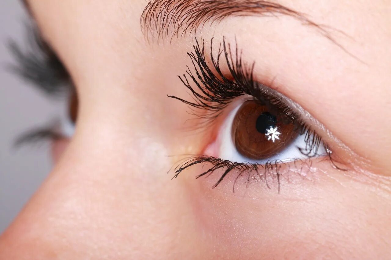 Le yeux