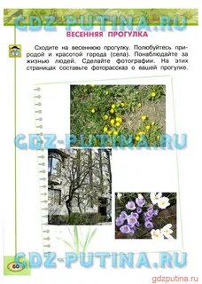 Окружающий мир 2 класс рабочая новицкая