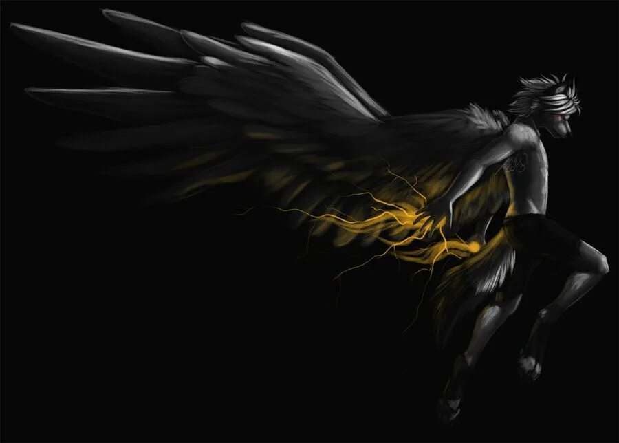 What is dark but made by light