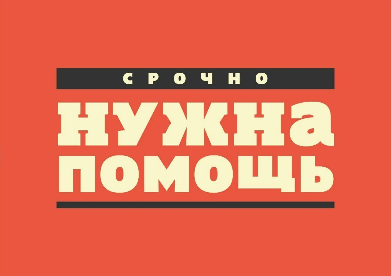 Потребуется помощь. Нужна помощь. нужна помощь надпись. нужна помощь картинка. требуется помощь.