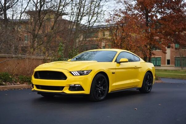 Ford Mustang: American Muscle Car