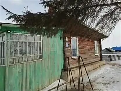 Ефимцовы село кемеровская область. Ваганово кемеровская область утес. Разведение животных. Погода в ваганово кемеровская область промышленновский. Погода в ваганово кемеровская область промышленновский.