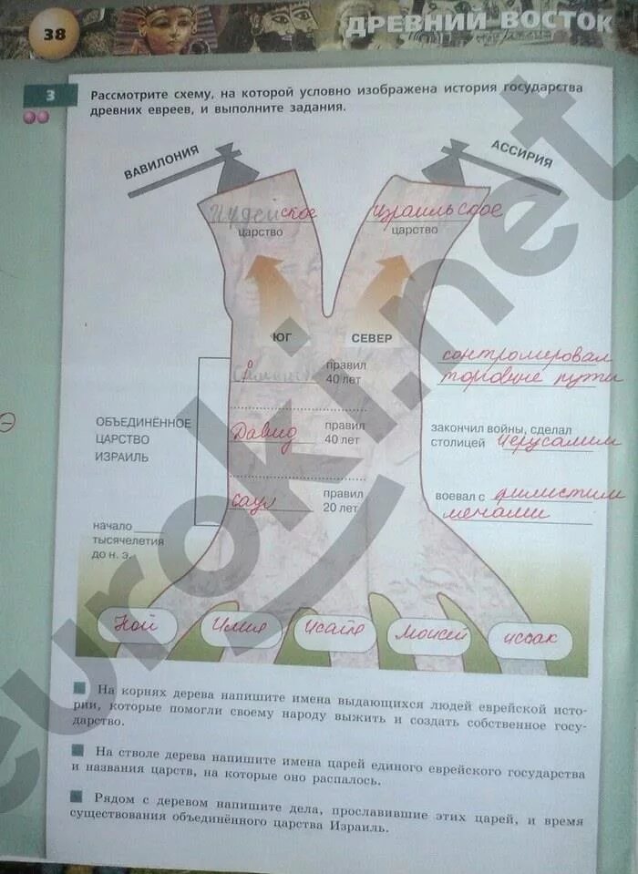 Домашнее задание по истории 5 класс. Тетрадь по истории 5 класс. Рабочая тетрадь по истории 5 класс.