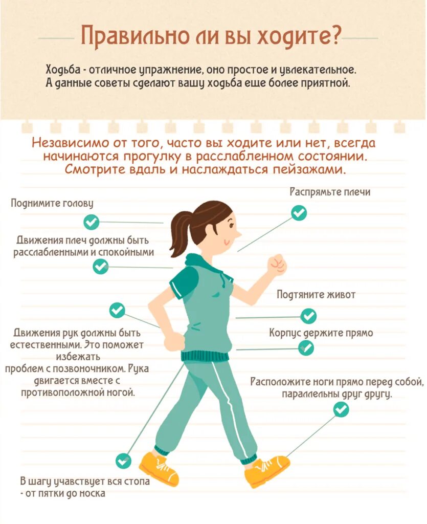 Может ли человек ходить