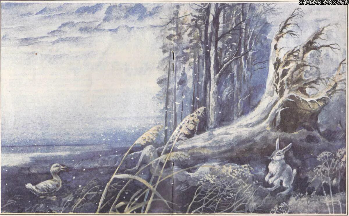 Приёмыш мамин сибиряк. Иллюстрация мамин сибиряк. Н. Иллюстрация к рассказу приемыш мамин сибиряк. Н.