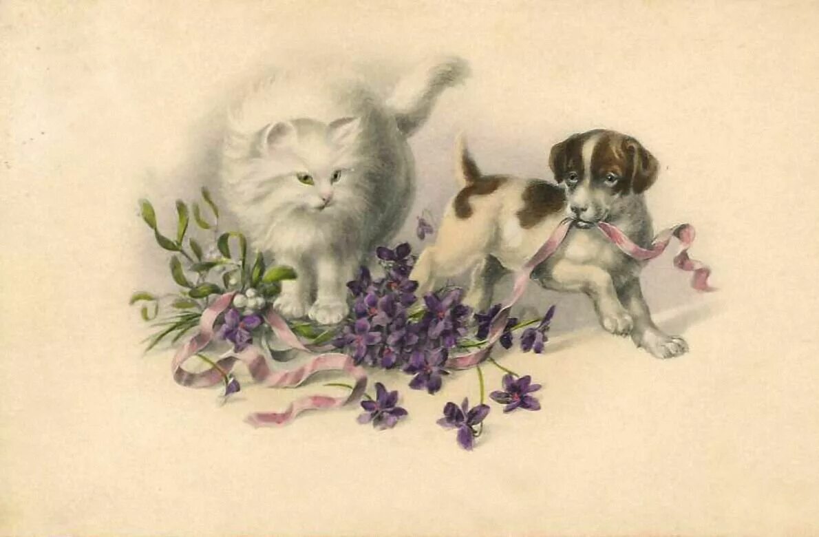 Винтажные черно белые зайцы. Открытка кошки. Животные винтаж. Акватинта кролик. Старинные открытки с собачками.