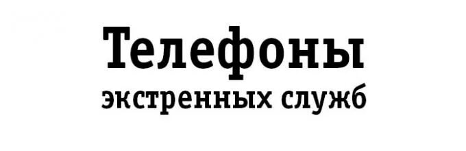 Телефон скорой чита. Картинка номера телефонов экстренных служб. Позвонить в пожарную с мобильного. Служба спасения 112. Служба спасения логотип.