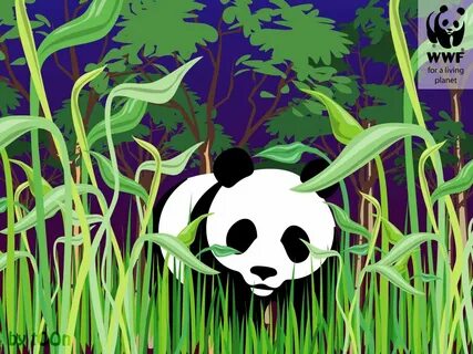 Wwf