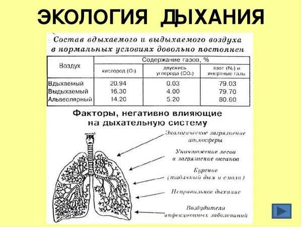 Таблицу дыхательная система человека. Строение органов дыхания 8 класс биология. Органы дыхательной системы 8 класс биология. Дыхательная система биология 8 класс. Строение дыхательной системы 8 класс биология.