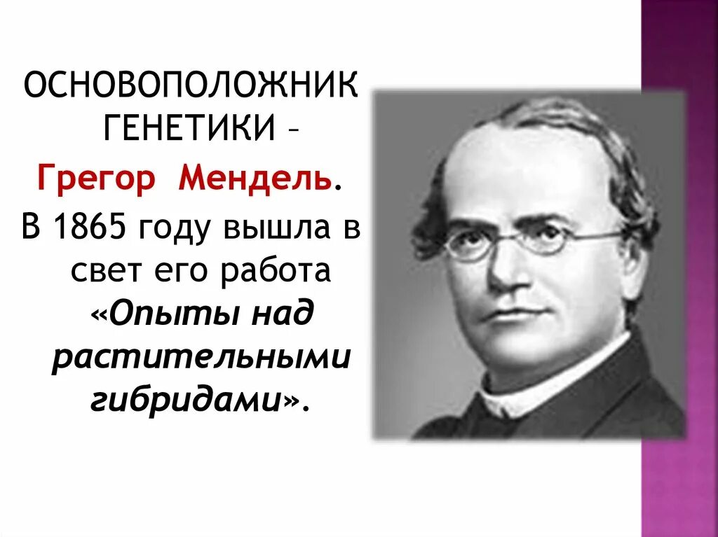 Создатель генетики. Грегор Мендель основатель генетики. Мендель основоположник генетики. Генетика основоположник 1865. Мендель генетика.