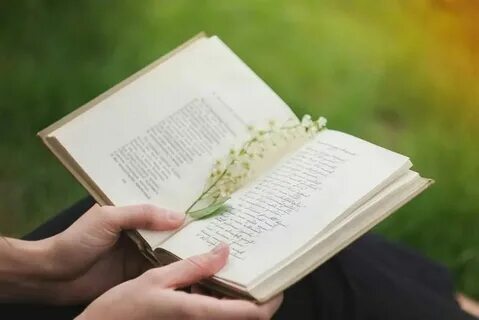 Стих книга план