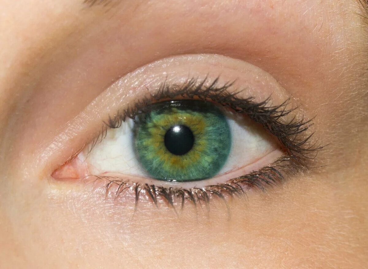 Желтоватый оттенок зеленого цвета. Зелено карие глаза гетерохромия. Центральная гетерохромия хамелеон. Гетерохромия каре зеленых глаз. Болотный цвет глаз гетерохромия.
