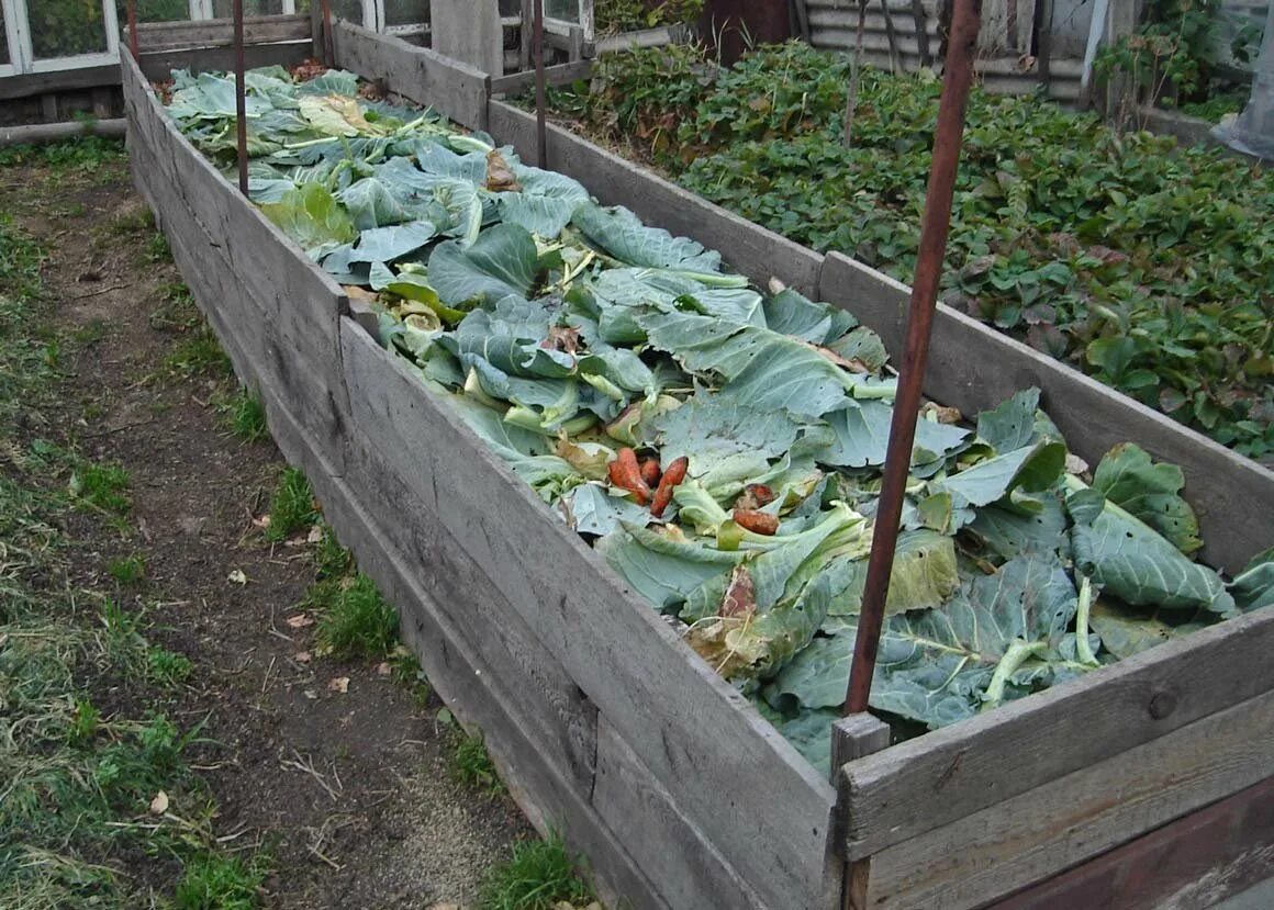 Где в огороде можно использовать. Грядки короба Рыкалина. Теплые грядки. Огуречная грядка. Грядка для огурцов.