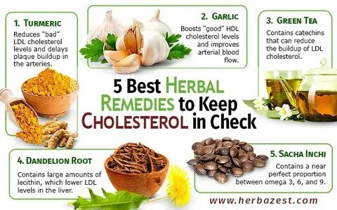 Herbal перевод