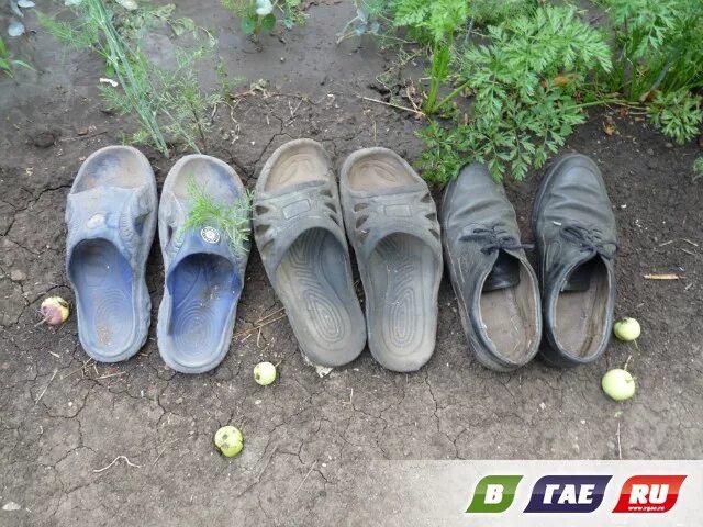 Грязный тапок. Порванные тапочки. Дырявые тапочки. Грязный тапок. Грязный тапок.