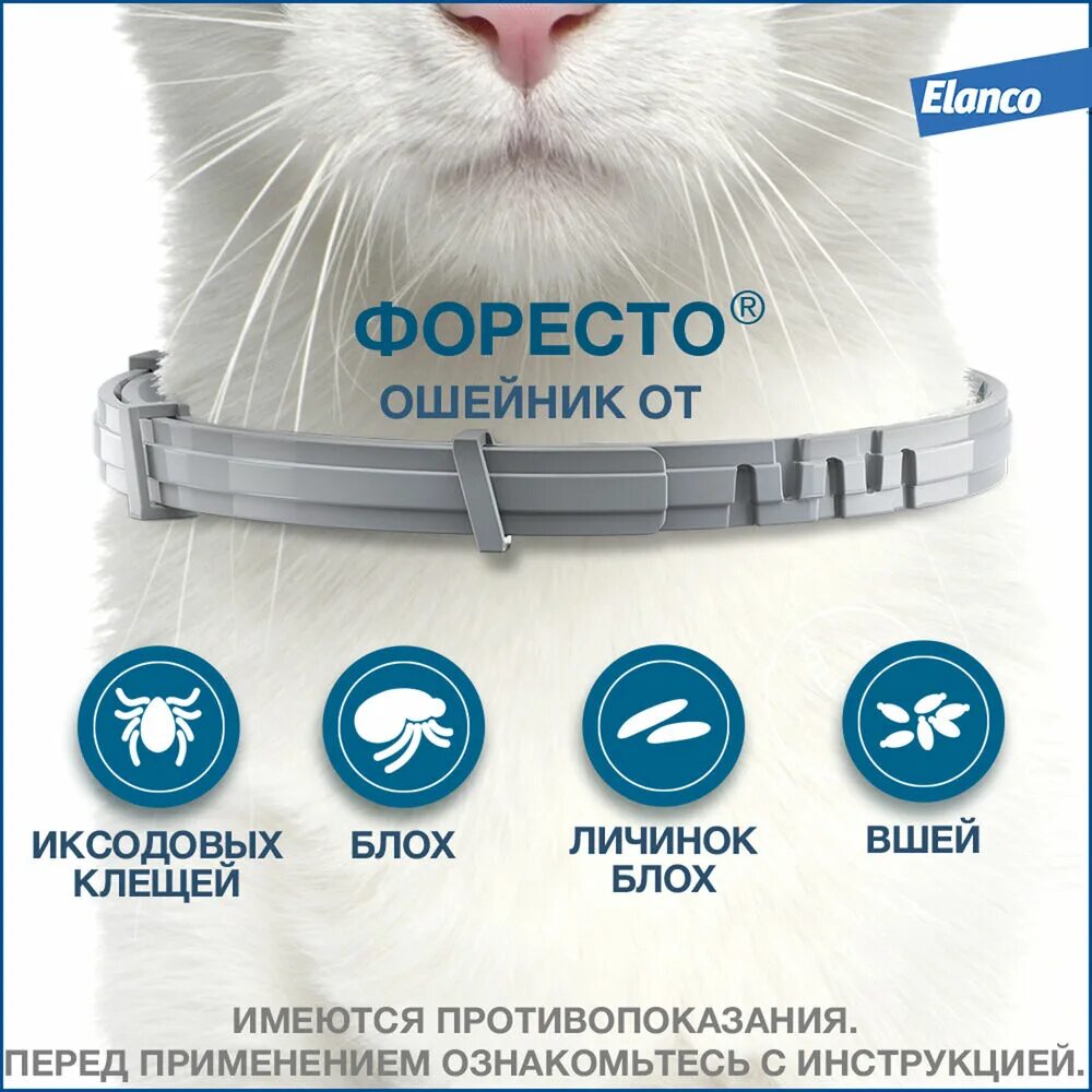 Форесто для кошек купить. Bayer Foresto ошейник для кошек. Ошейник Байер Форесто. Ошейник от блох Foresto для кошек. Форесто Еланко.