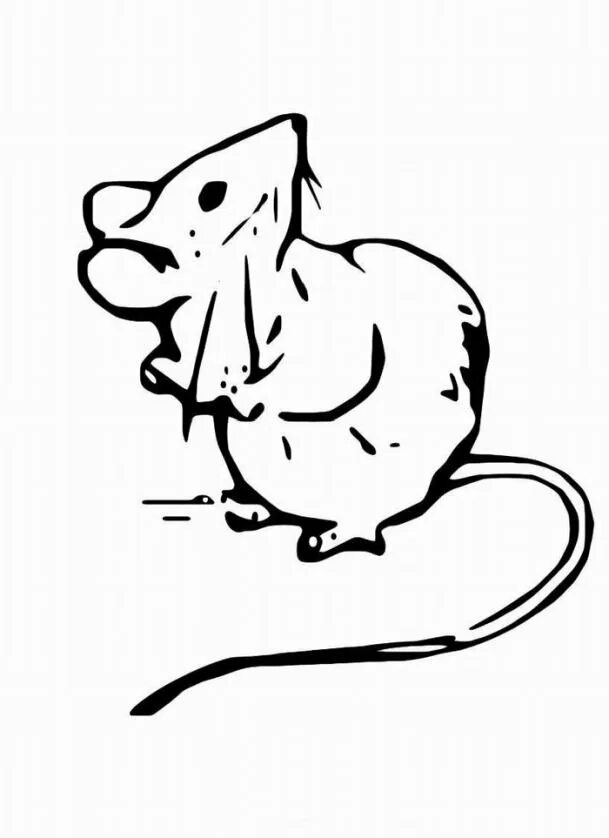 Мышь черно белая. Черно белые мышки. Черно белые мышки. Мышь трафарет для вырезания. Мышь раскраска для детей.