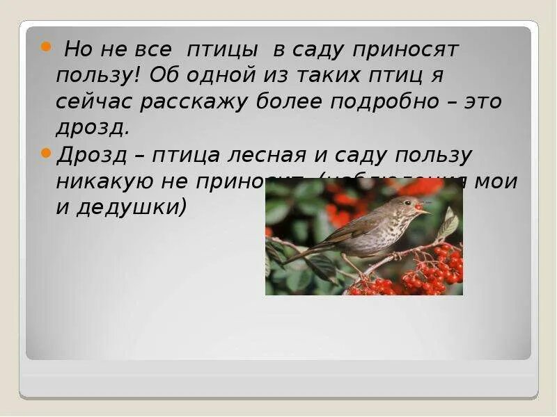 Загадка про дрозда. Птицы полезные для сада презентация. Стих про дрозда. Загадка про дрозда для детей. Польза приносимая птицами