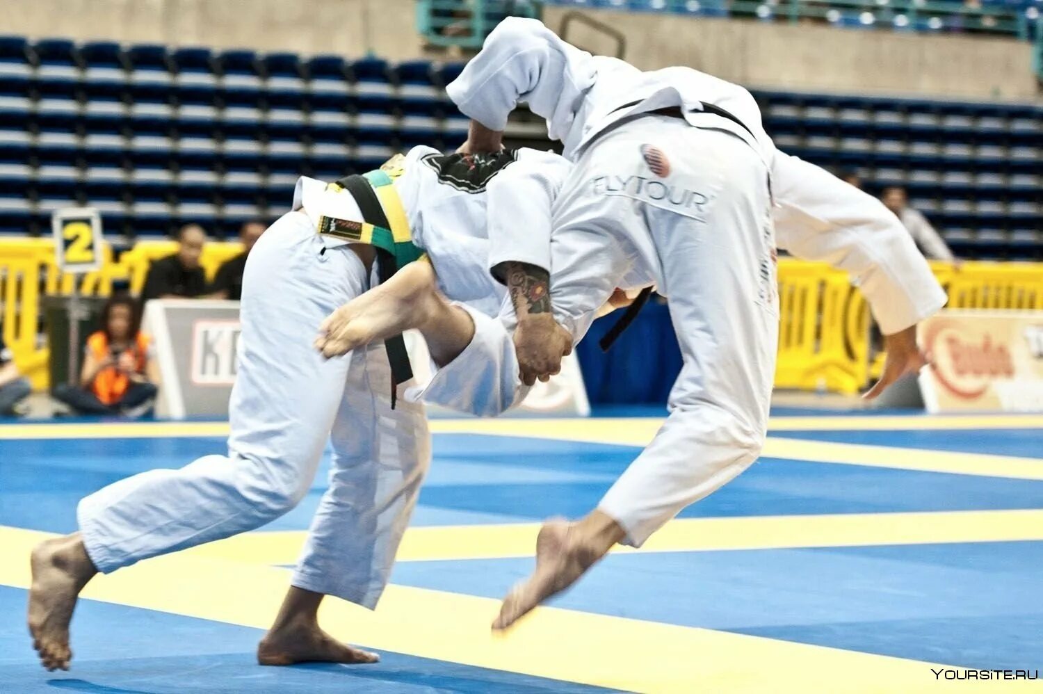 Правила джитсу. Джиу джитсу неваза. Combat Jiu Jitsu комбат. Беримболо джиу-джитсу. Борьба БЖЖ.