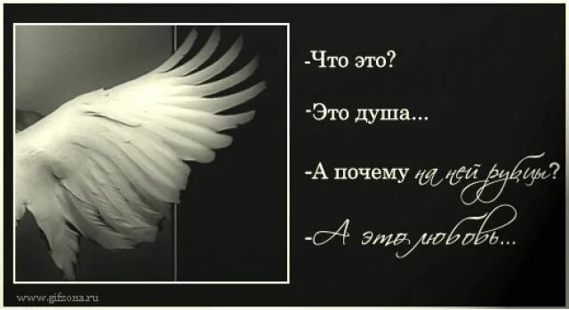 Прошу дай мне крылья. Цитаты про Крылья. Фразы про Крылья. Крылья ангела цитаты. Крылья любви цитаты.