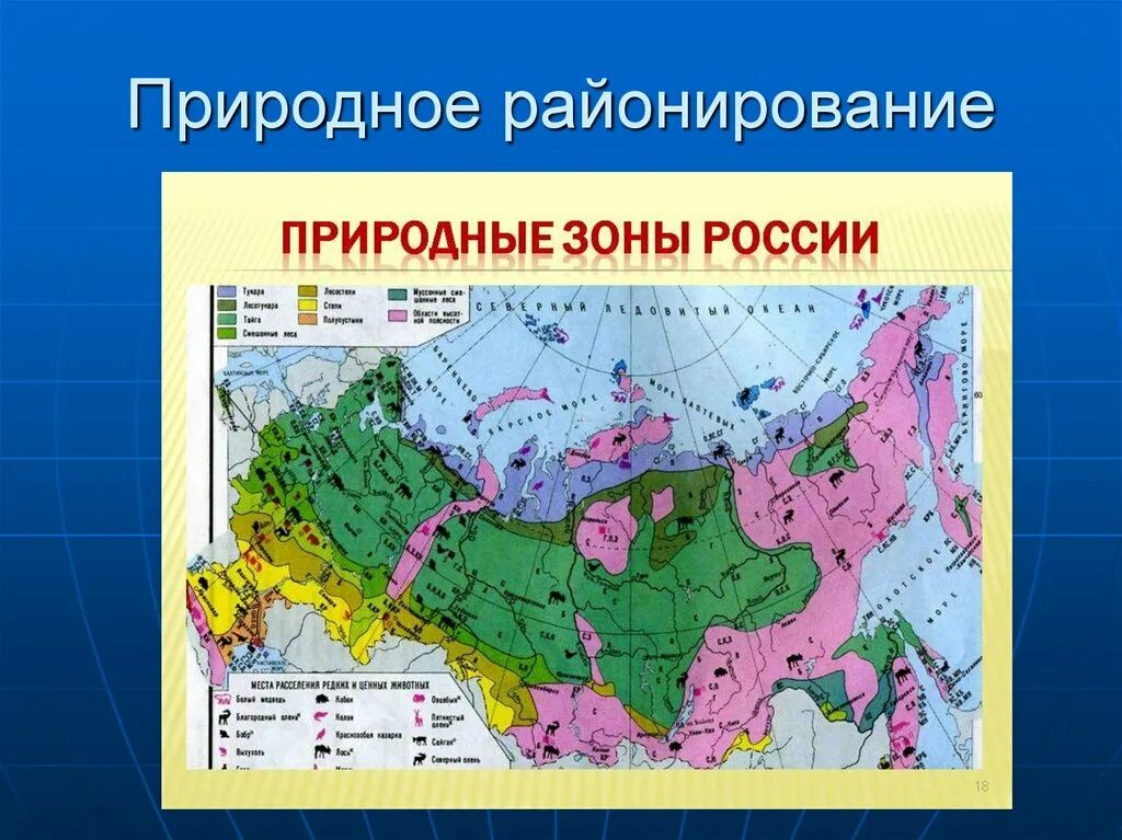 Птк россии 8. Природное районирование. Физико-географическое районирование. Географическое районирование России. Природное районирование России.