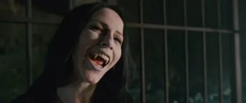 Приманка 2010