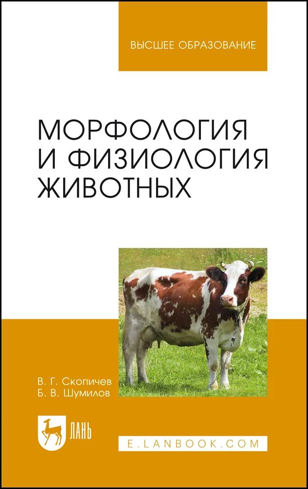 Что такое физиология животных. Морфология и физиология животных. частная физиология животных. физиология и этология животных. физиология животных учебник.