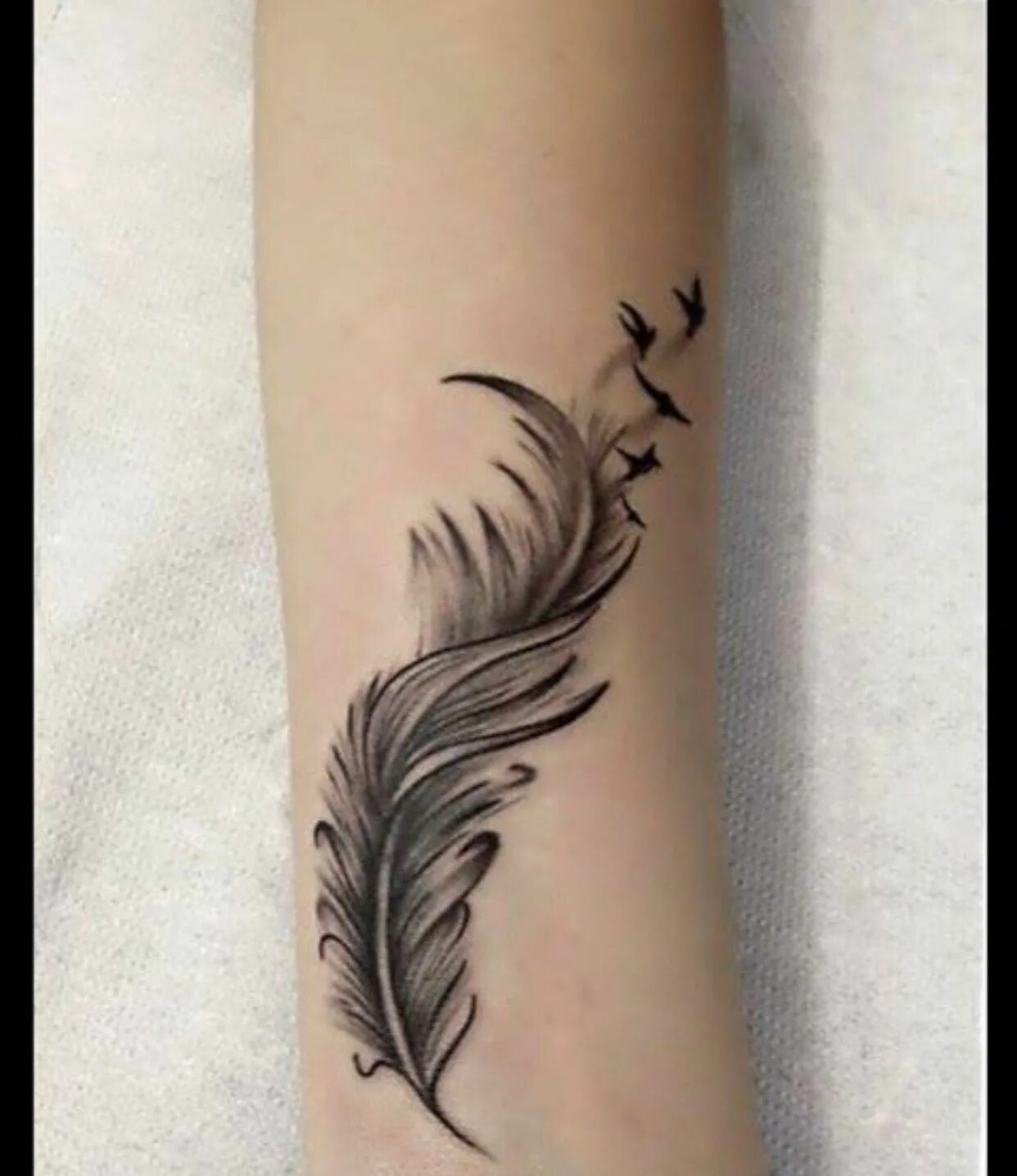 Тату перо цветное. Тату перо на руке. Тату перышко. Тату перо на ребрах. Тату перо.