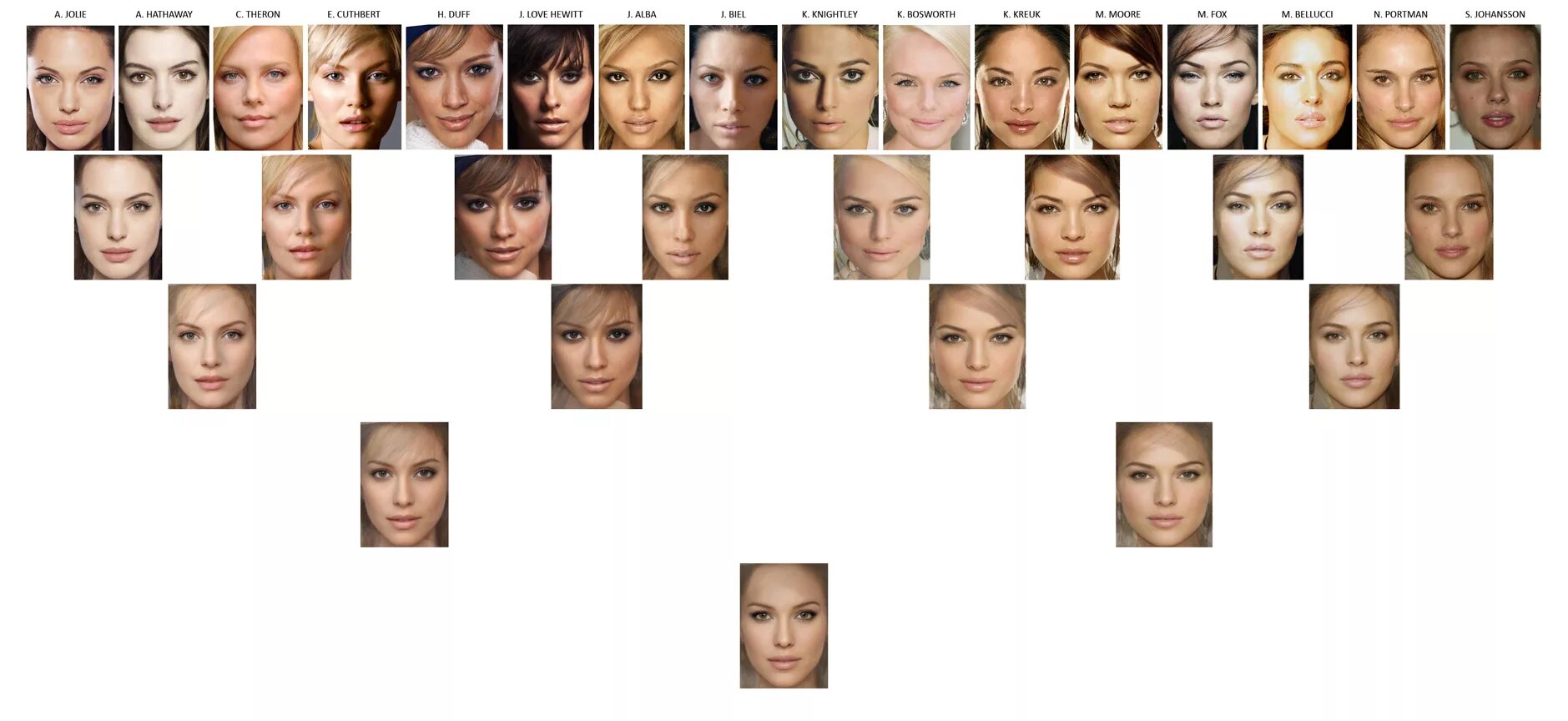 Внешность национальностей. Восточно европейский тип внешности. Русский тип внешности. Таблица фенотипа женщин. Западный балтид раса.