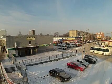 Куровская черусти