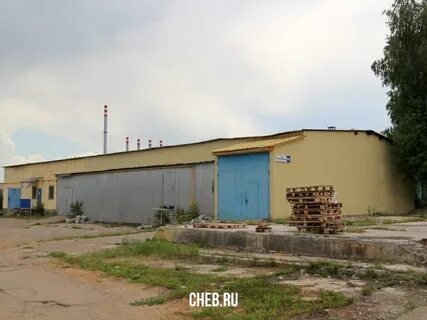 Розы люксембург 8