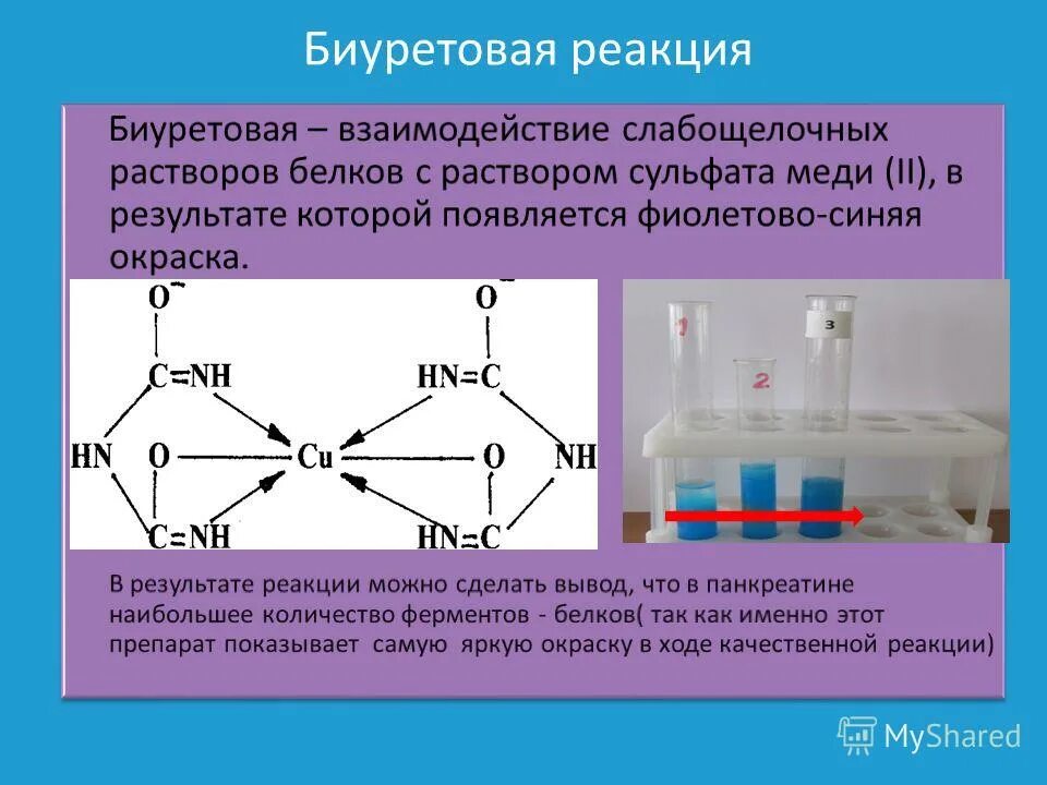 Изучение каталитической активности