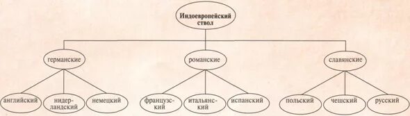 Индоевропейская языковая семья схема. Схема индоевропейская языковая семья схема. Генеалогическая классификация языков:семья, ветвь, группа.. Какие группы языков относятся к индоевропейской семье